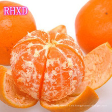 2017 baby mandarin orange precio de fábrica exportador